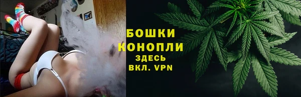 ПСИЛОЦИБИНОВЫЕ ГРИБЫ Майский