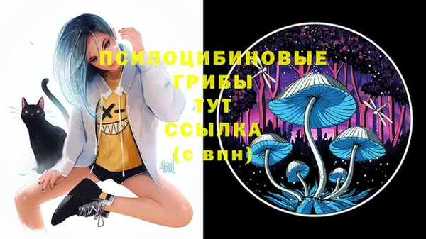 стаф Волгодонск