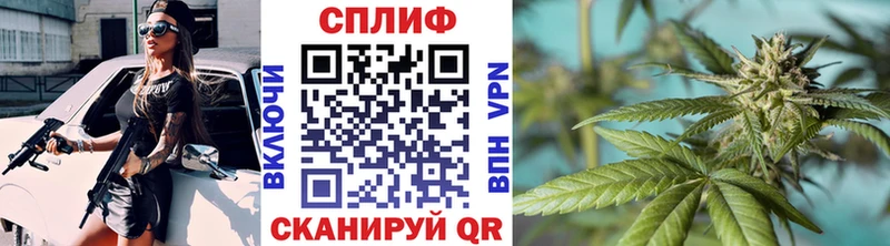 mega зеркало  сколько стоит  Шилка  Конопля марихуана 